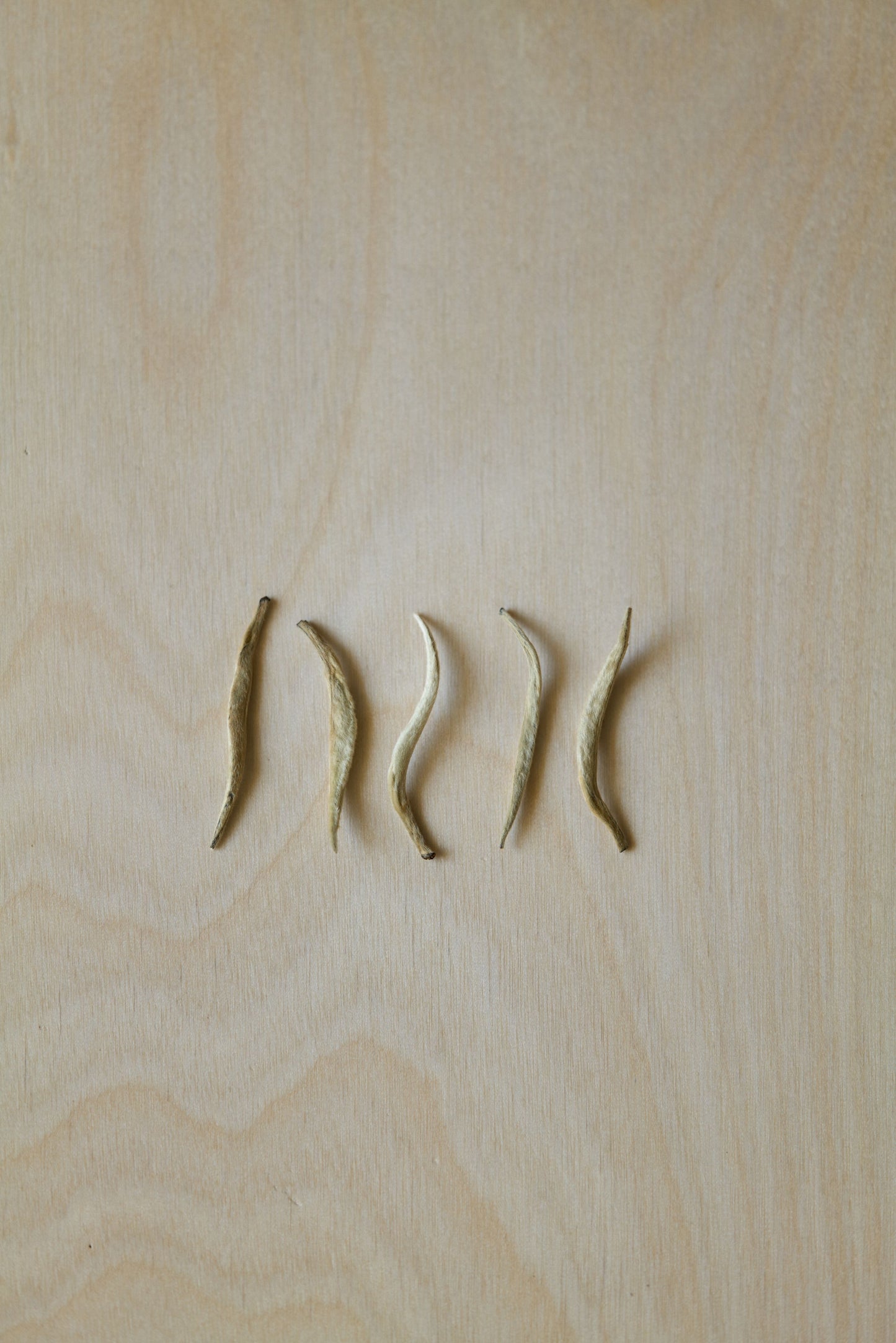 ホーミーディフューザー ホワイトティー&カメリア 100ml