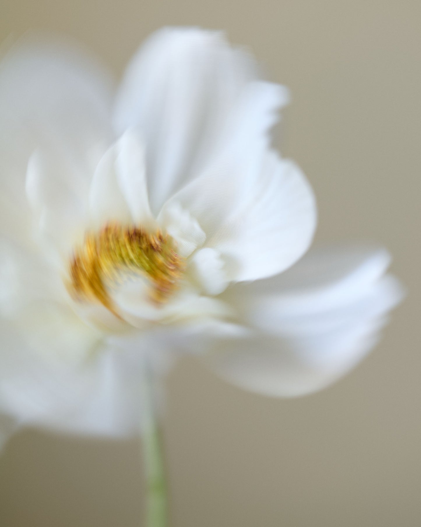 ホーミーディフューザー　 ホワイトティー＆カメリア 100ml