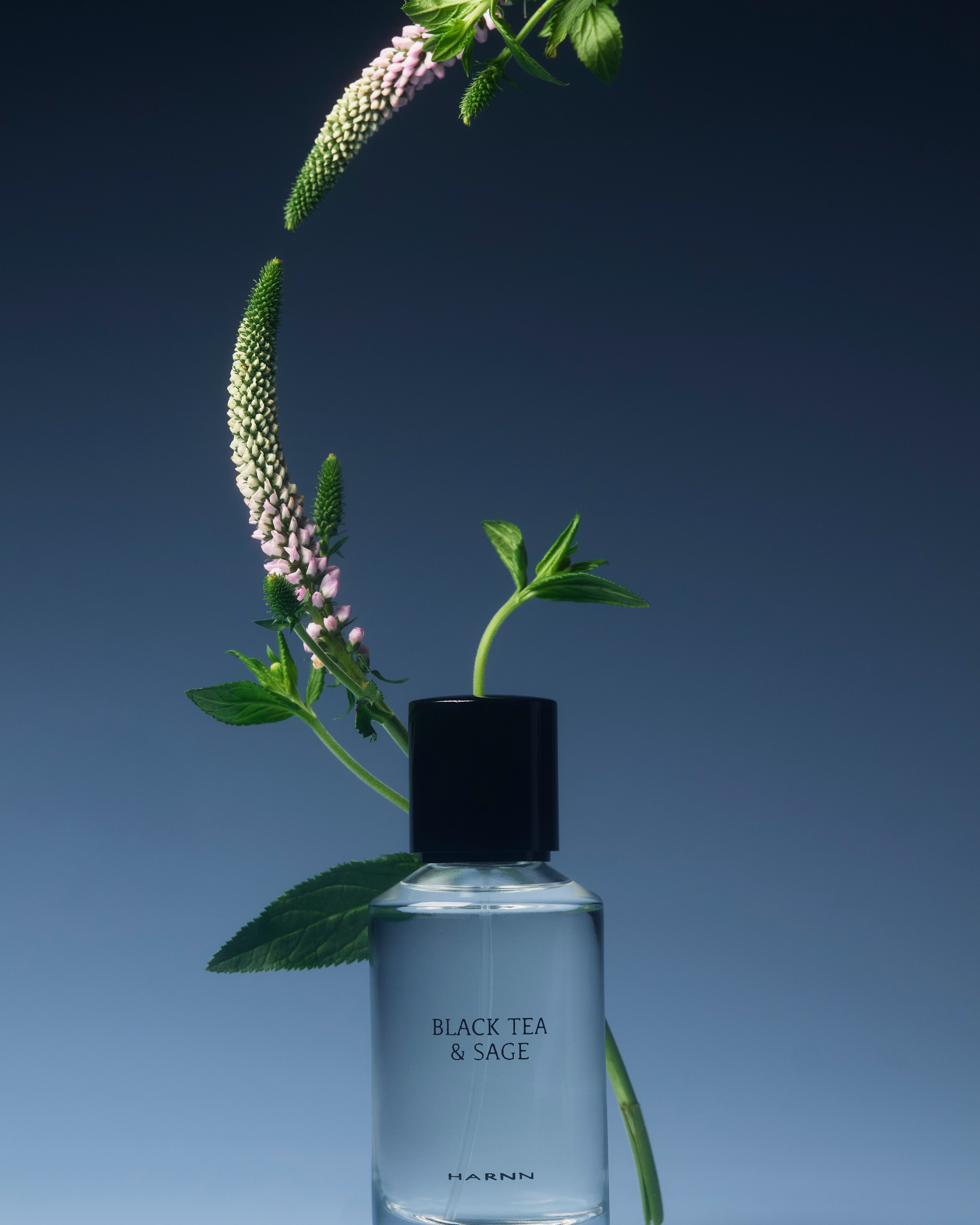 ブラックティー＆セージ オードトワレ45ml – HARNN（ハーン）公式
