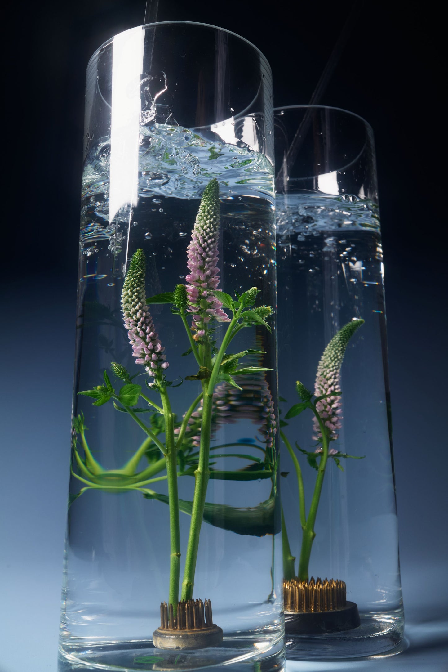 ブラックティー＆セージ オードトワレ12ml