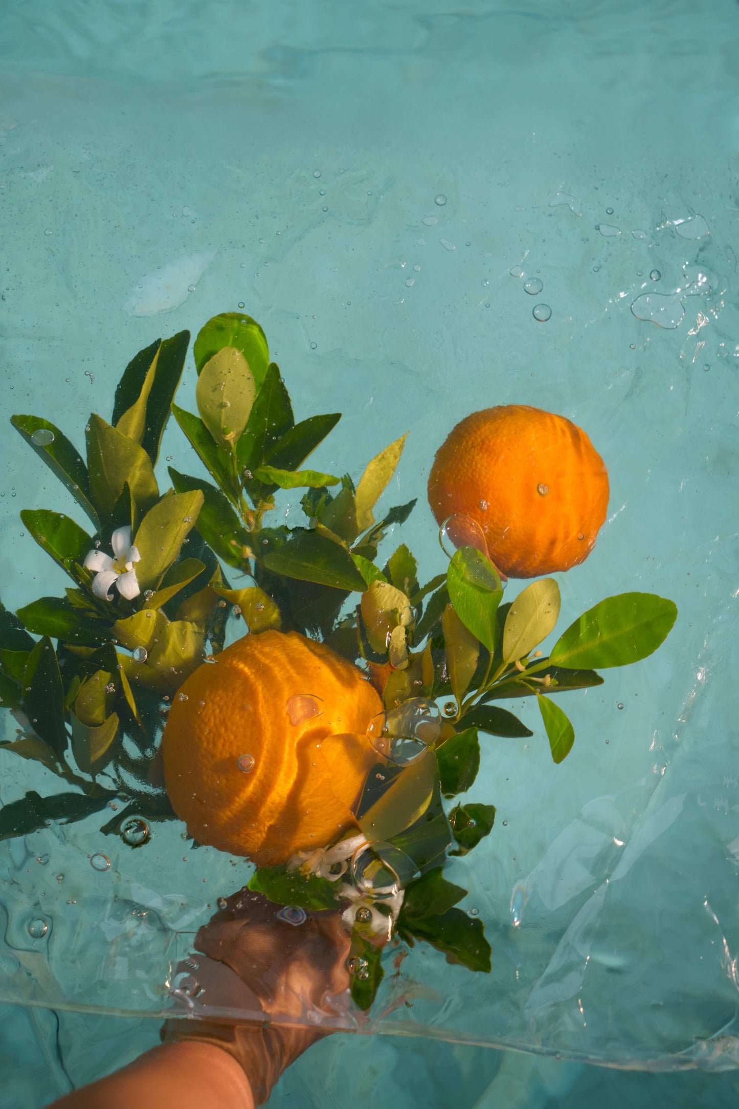 オレンジブロッサム ＆ カレンデュラ　ボディバーム 150g