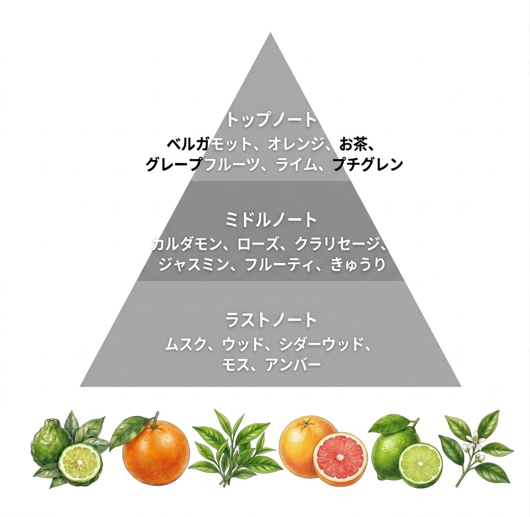 ブラックティー＆セージ ハンドクリーム50g – HARNN（ハーン）公式