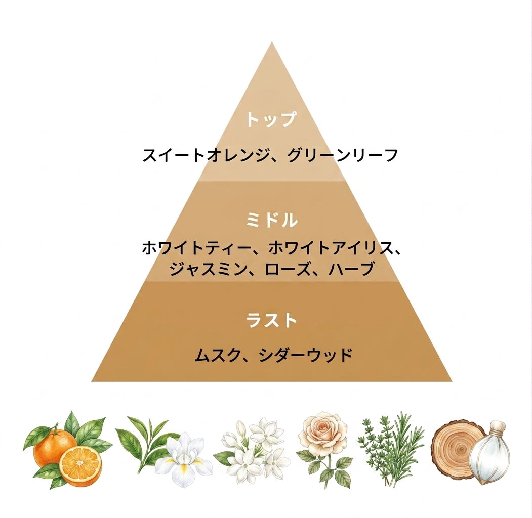 ホワイトティー＆カメリア ボディローション250ml – HARNN（ハーン