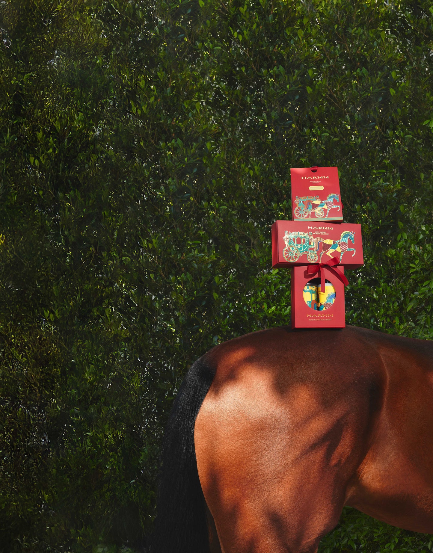 シルケンフォーチュン　ハンドケアセット　ジャスミン＆グレープフルーツ